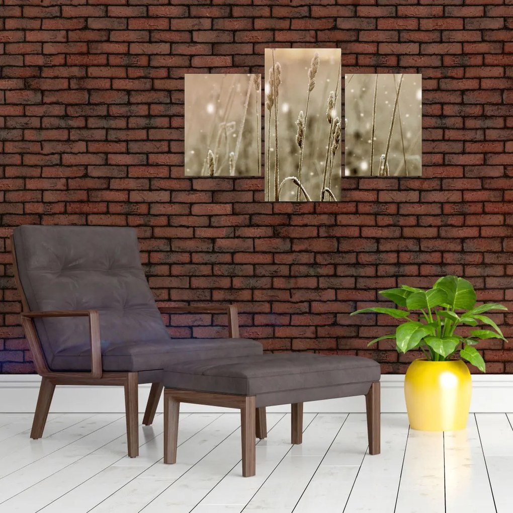 Obraz - Harmonická lúka (90x60 cm)
