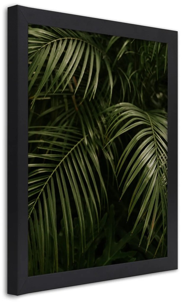 Gario Plagát Exotické palmové listy Farba rámu: Bez rámu, Rozmery: 30 x 45 cm