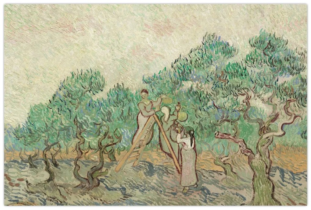 Obraz - Vincent van Gogh, The Olive Orchard, reprodukcia (90x60 cm)