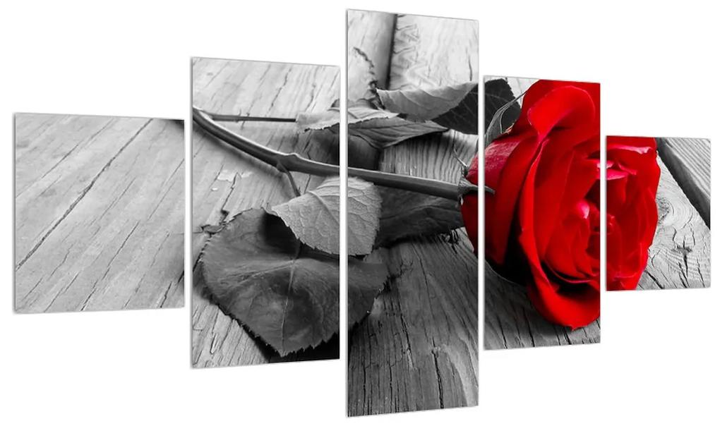 Obraz červenej ruže (K011138K12570)