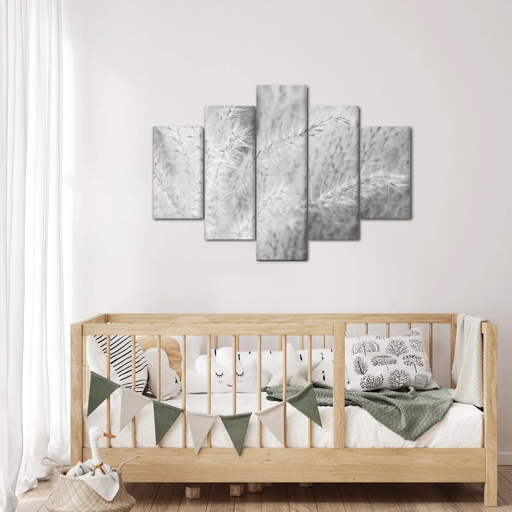 Obraz - Pampas grass N⁰1 (150x105 cm)