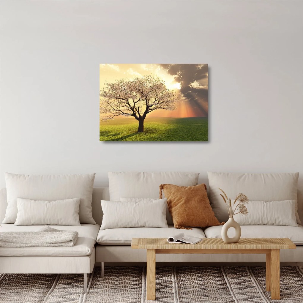 Sklenený obraz stromu na lúke (70x50 cm)