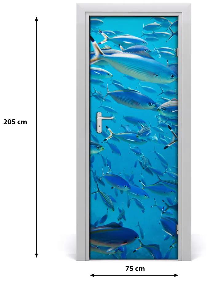 Samolepiace fototapety na dvere koralové ryby 75x205 cm
