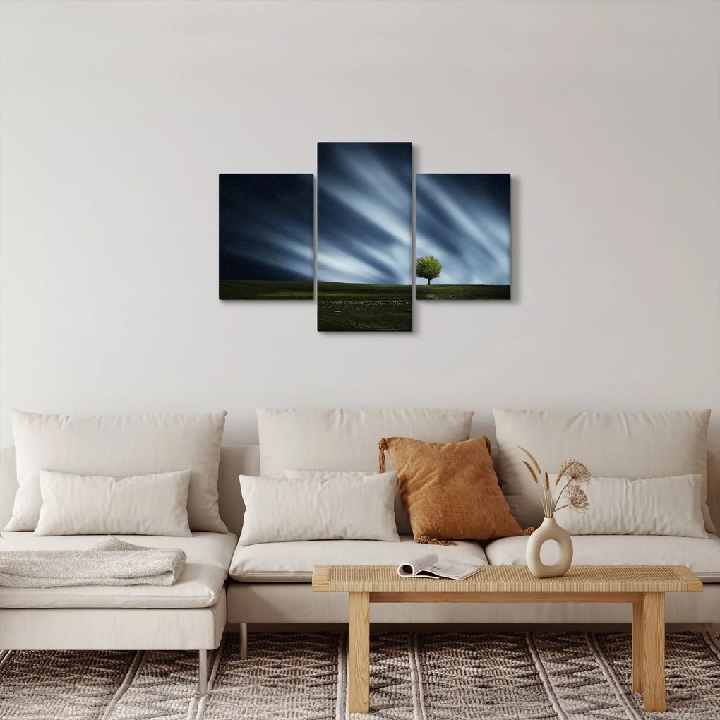 Obraz polárna žiara nad vresoviskom (90x60 cm)
