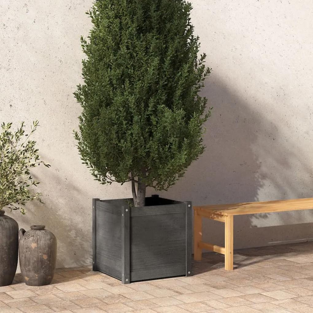 vidaXL Záhradný kvetináč sivý 50x50x50 cm masívne borovicové drevo