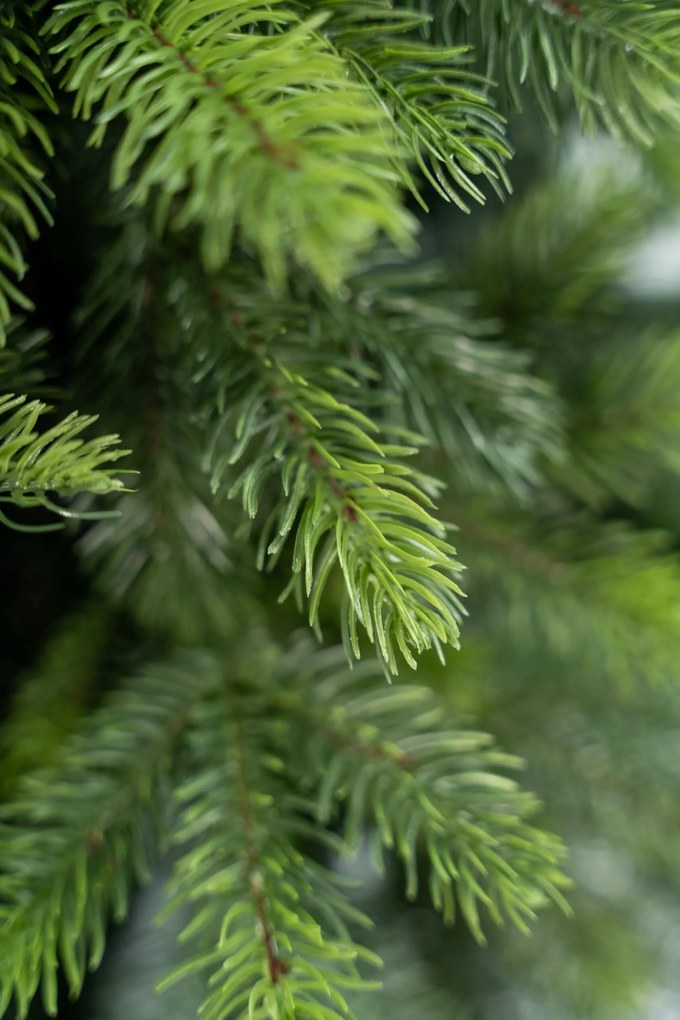 Limpol Umelý vianočný stromček Borovica Nevada Výška stromčeka: 150 cm