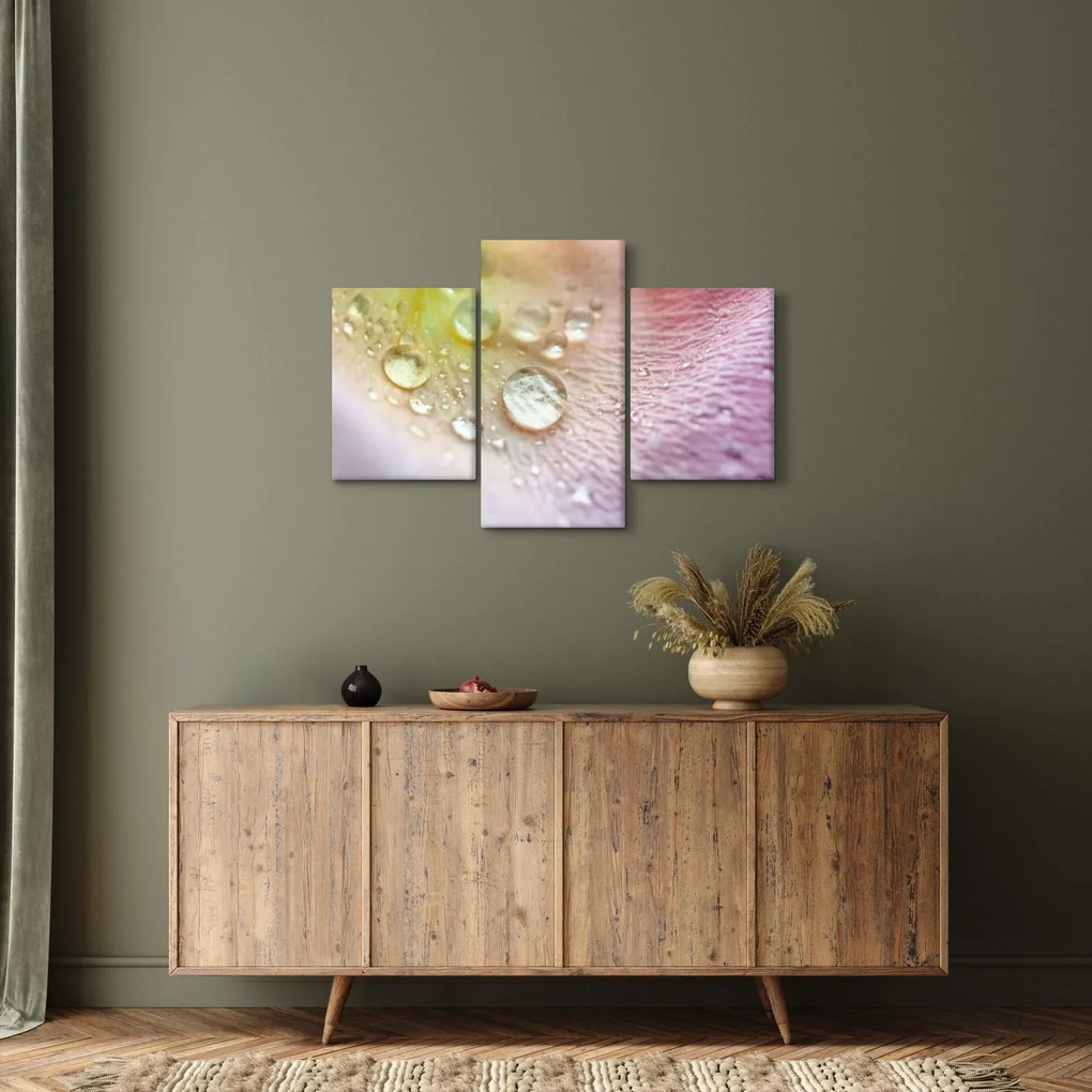 Obraz - Kvapky rosy (90x60 cm)
