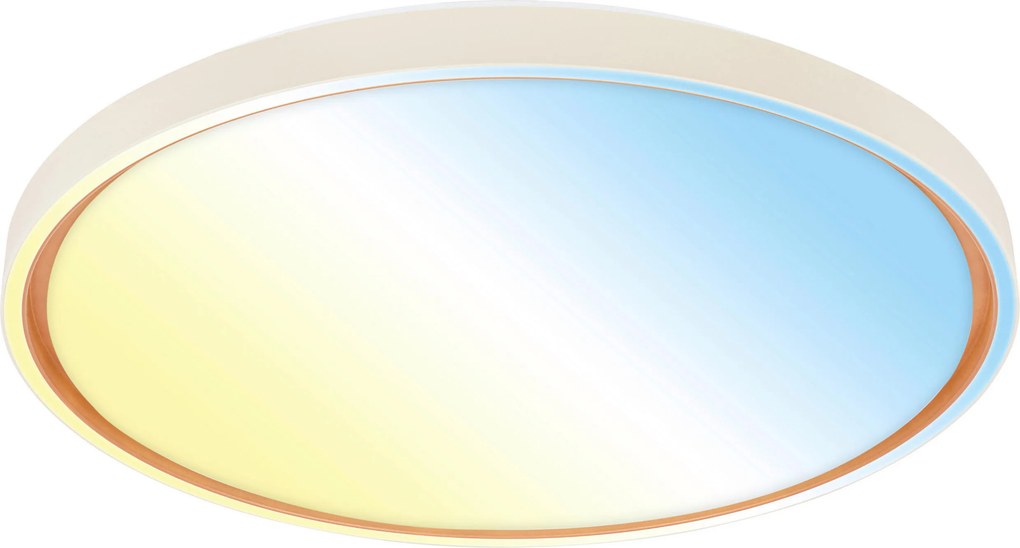 XXXLutz STROPNÉ LED SVIETIDLO, 49,5/6,5 cm - Interiérové svietidlá - 004474017201