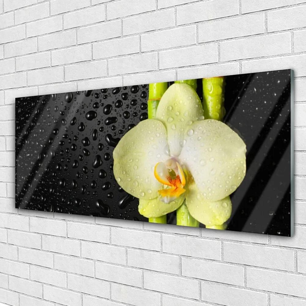 Obraz plexi Bambus kvet orchidea 125x50 cm