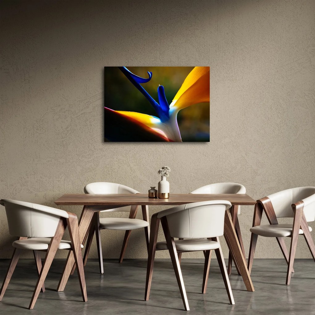 Obraz - Exotický kvet (70x50 cm)