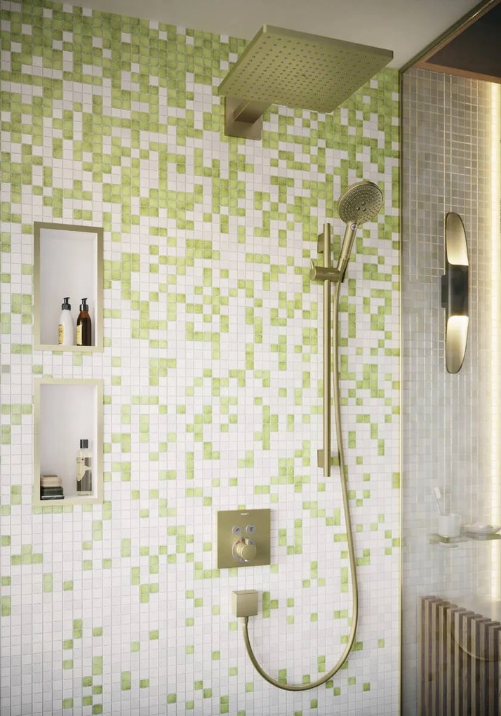 Hansgrohe Raindance Select S, ručná sprcha 120 3jet, kartáčovaný bronz, HAN-26530140