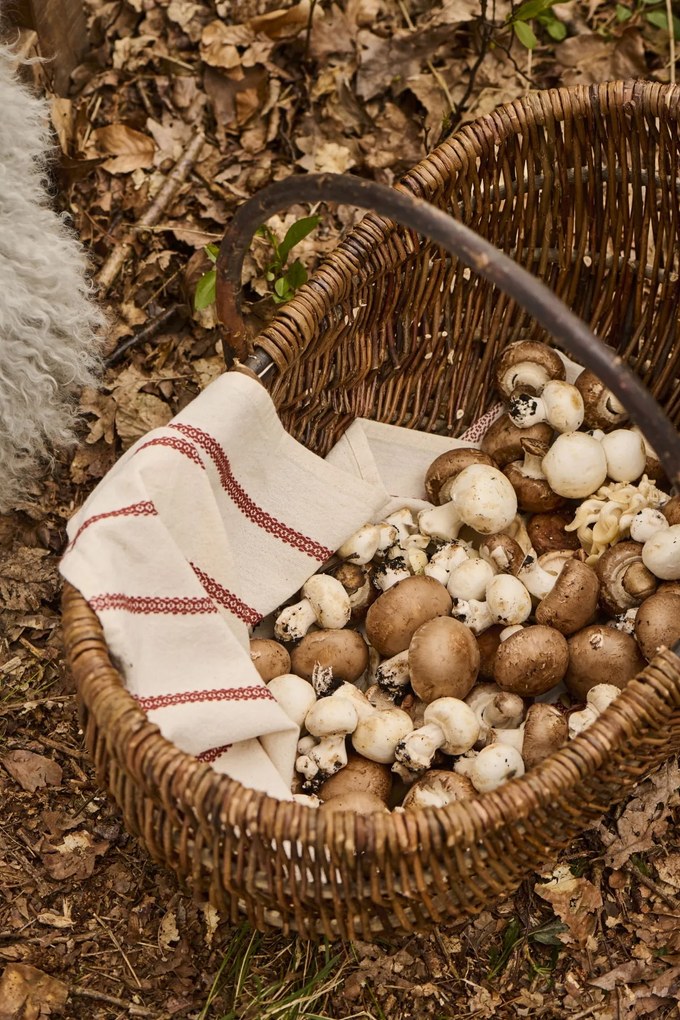 Ib Laursen Rebecca 70 x 50 cm