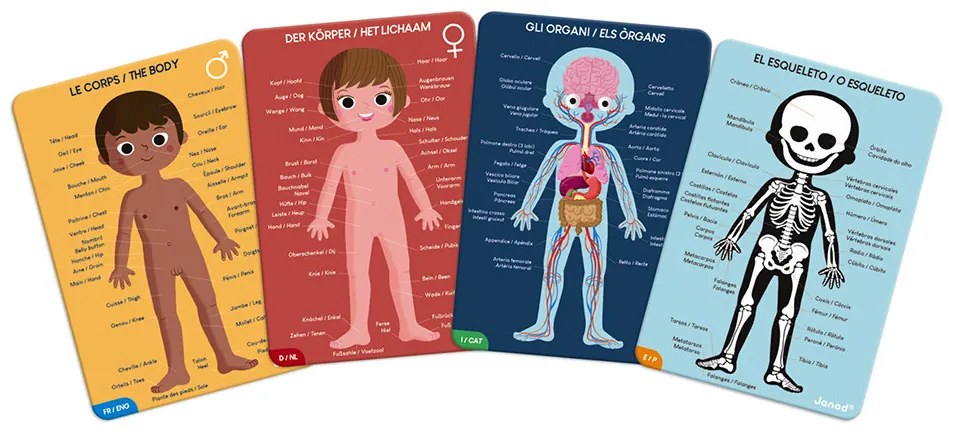 Vzdelávacie puzzle - Ľudské telo - 50, 75, 100 ks