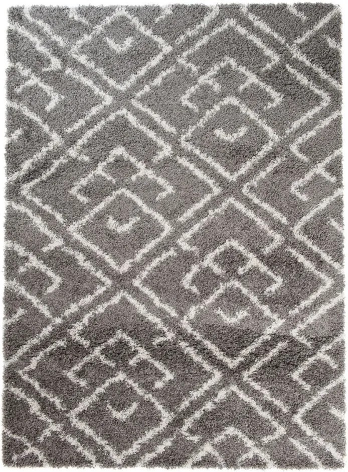 Kusový koberec Shaggy Linos šedý, Velikosti 200x290cm