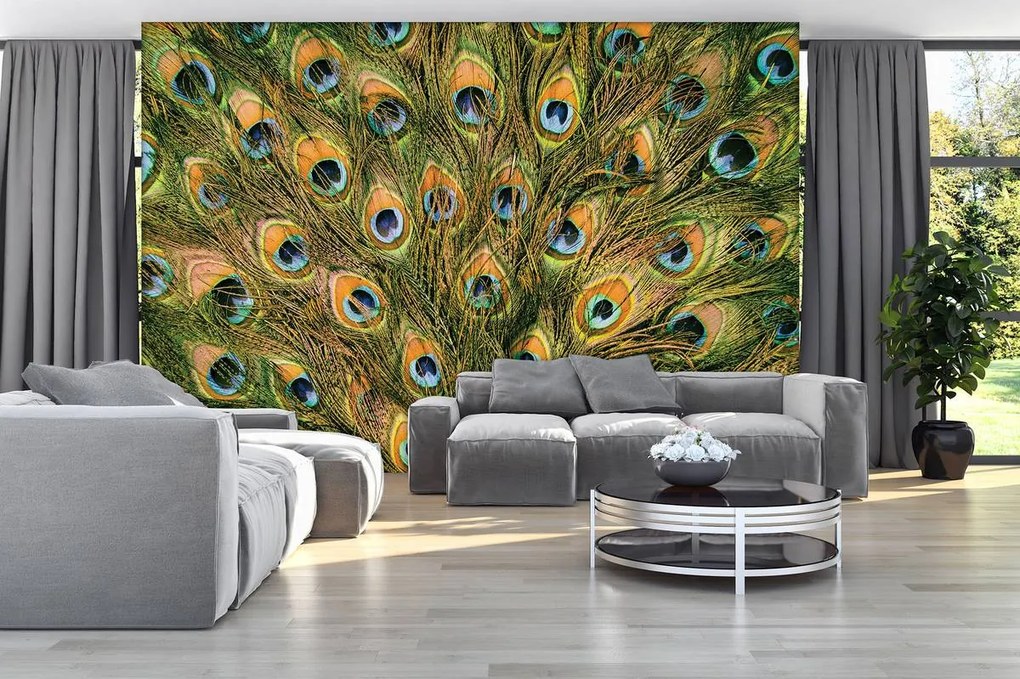 Fototapeta - Pávie perie (254x184 cm)