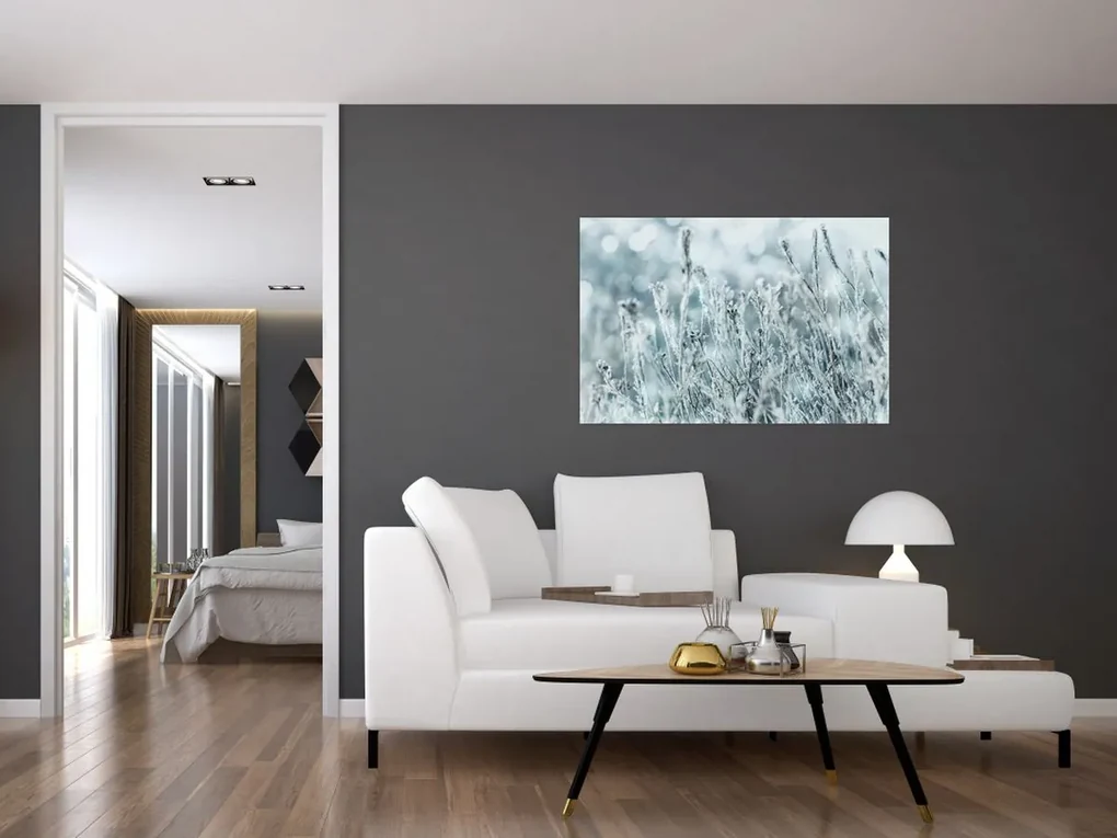 Obraz - Kúzlo zimy (90x60 cm)