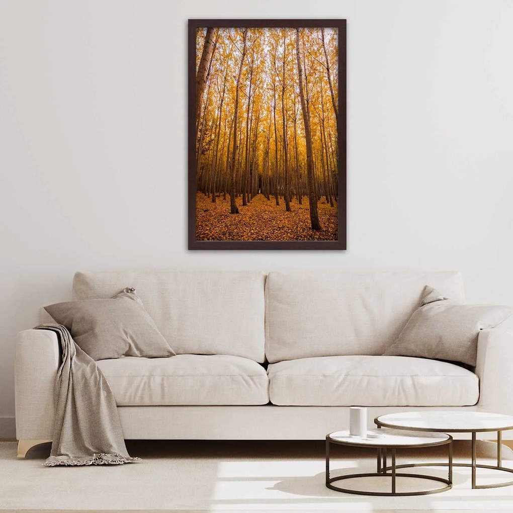 Gario Plagát Zlatý les na jeseň Farba rámu: Bez rámu, Rozmery: 60 x 90 cm