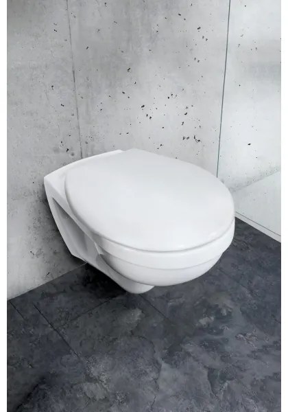 WENKO 24571100-WC sedadlo VORNO NEO 46x37 cm biele/strieborné