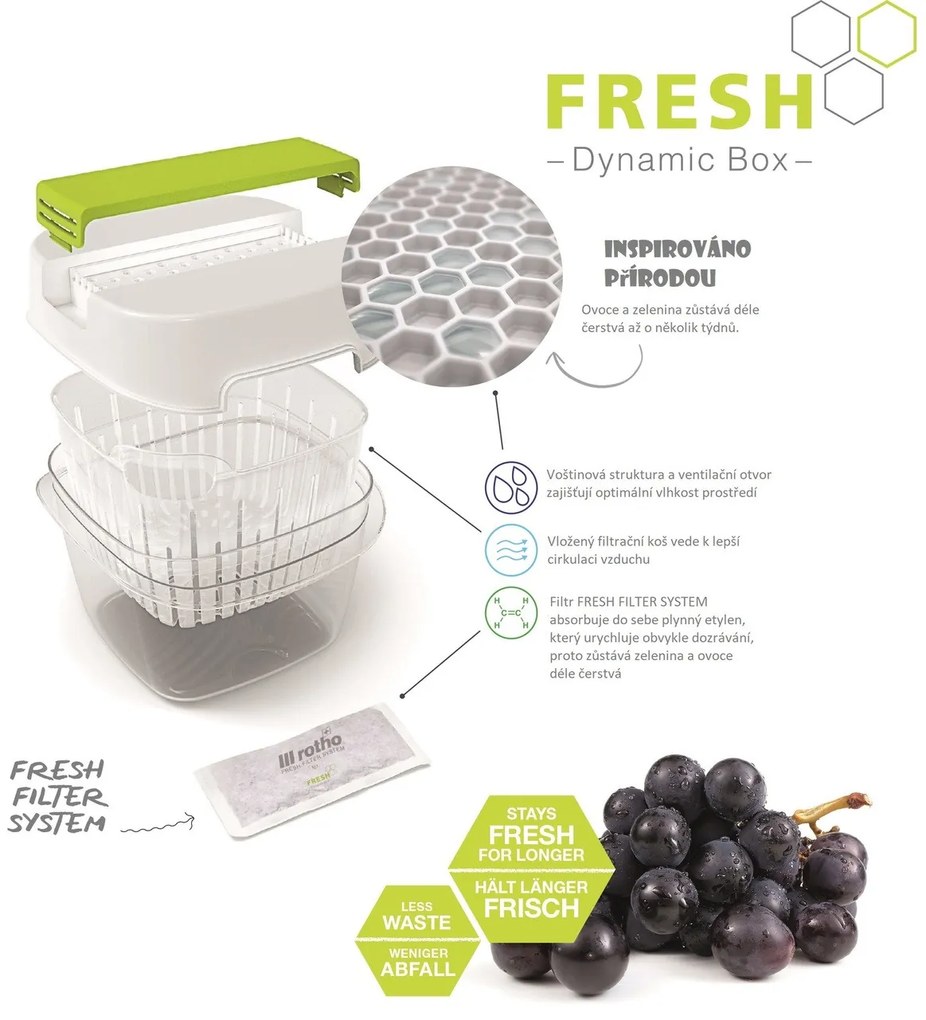 Rotho Špeciálny box na ovocie a zeleninu, s ventiláciou a filtrom, do chladničky, Fridge Fresh, 6,4 l - modrý