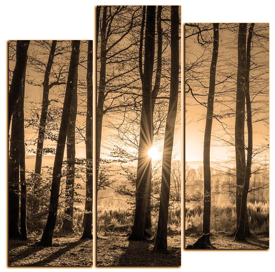 Obraz na plátne - Jesenné ráno v lese - štvorec 3251FC (75x75 cm)