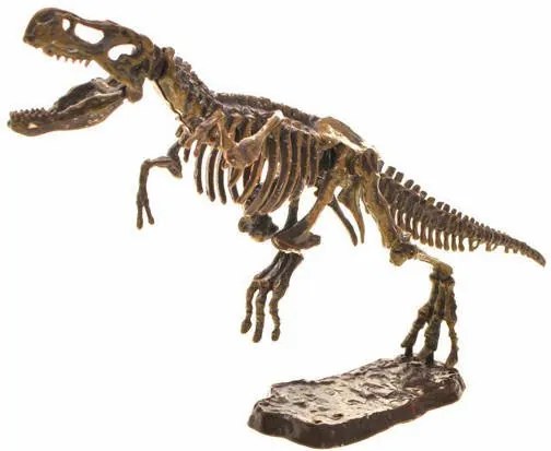 Jokomisiada T-REX 3D – súprava na výkop Dinosaura