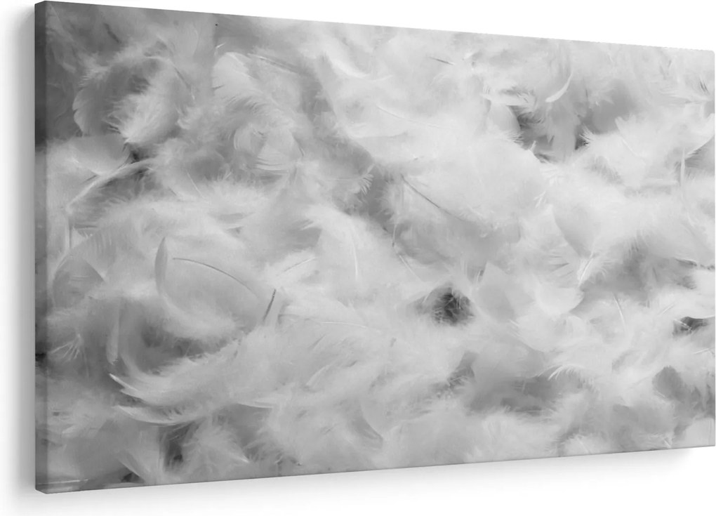 Obraz - Oblaky perie (90x60 cm)