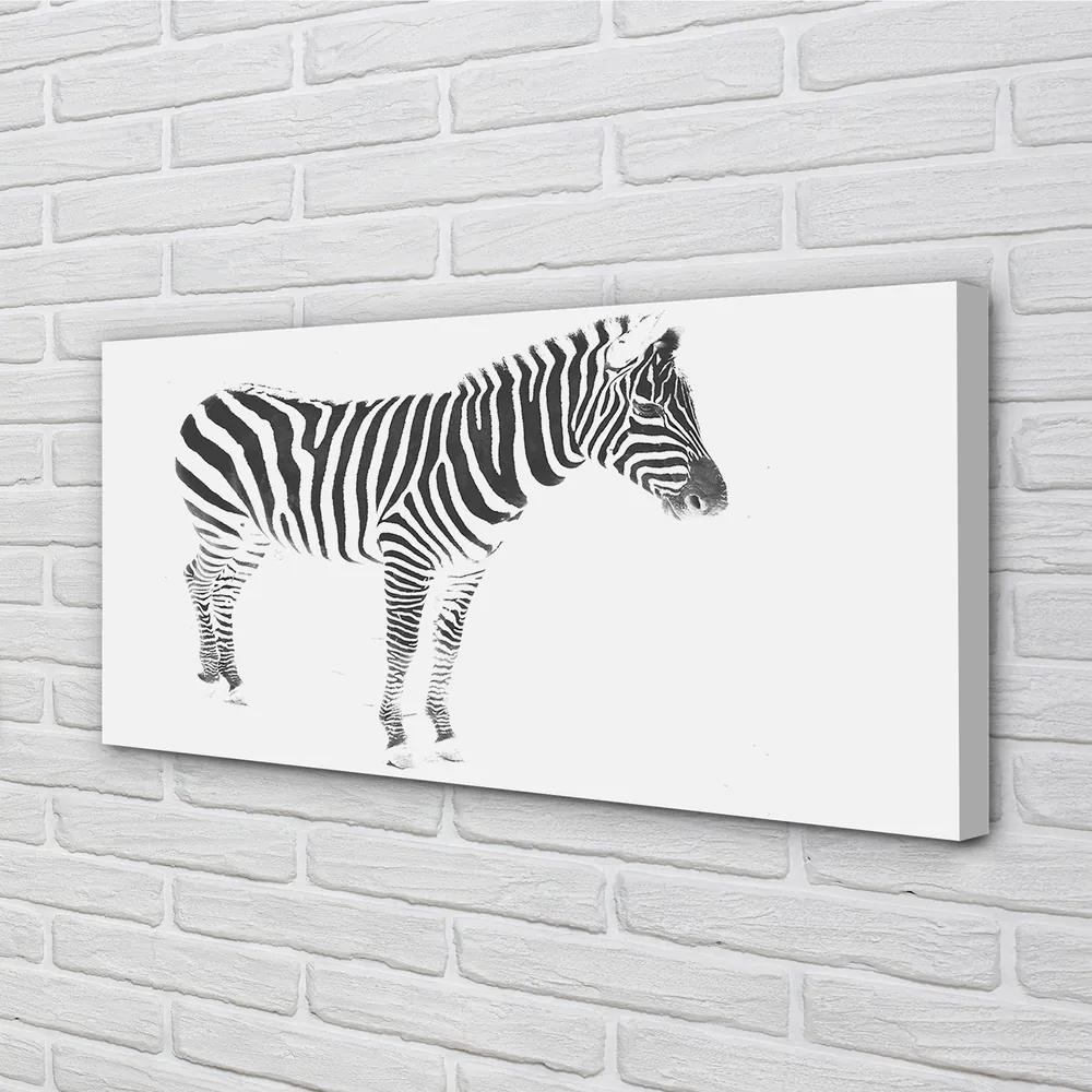 Obraz na plátne maľované zebra 140x70 cm