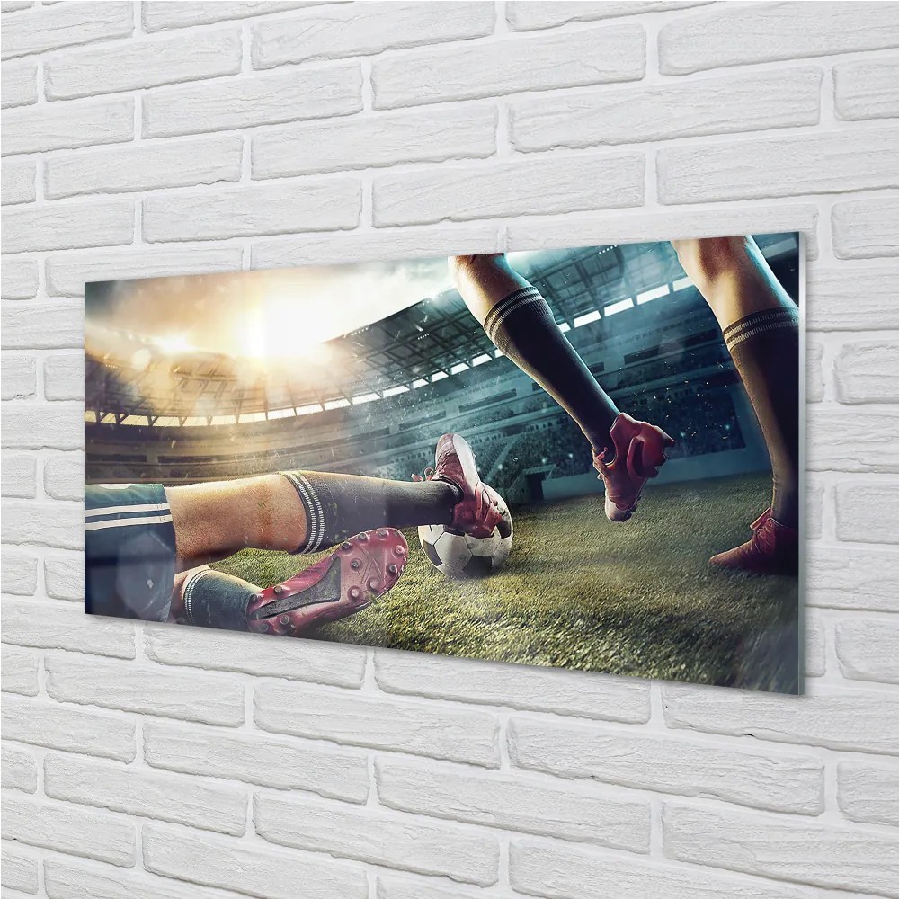 Obraz plexi Korky futbalový štadión 100x50 cm
