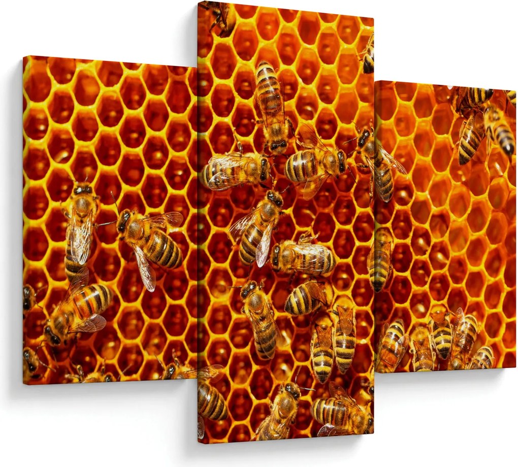 Obraz - Medový plást (90x60 cm)