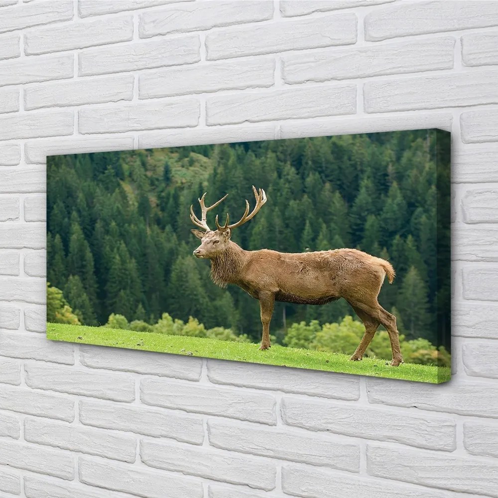 Obraz na plátne Jeleň v poli 120x60 cm