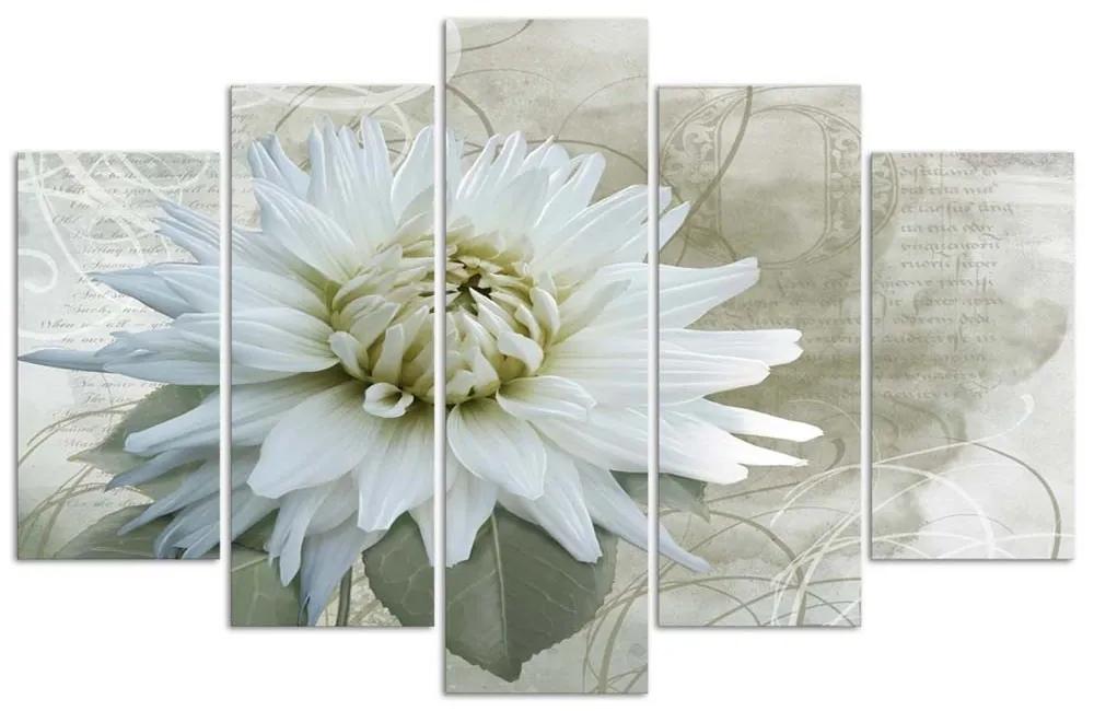 Obraz na plátně pětidílný Bílá květina béžová Vintage - 100x70 cm