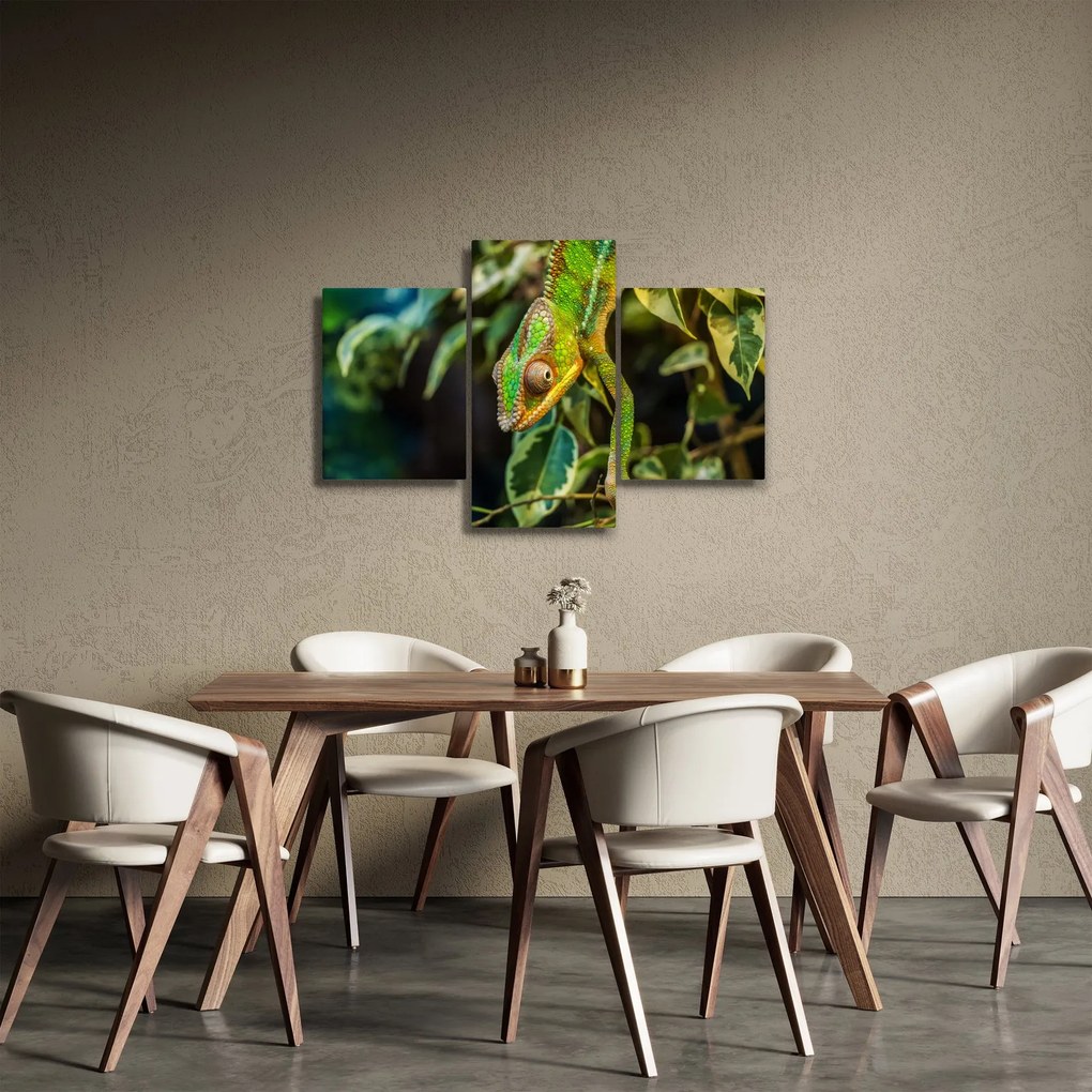 Obraz chameleóna (90x60 cm)