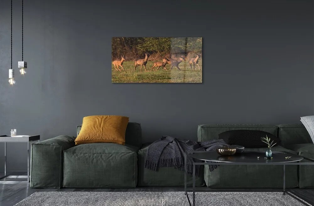 Sklenený obraz Deer Golf svitania 120x60 cm