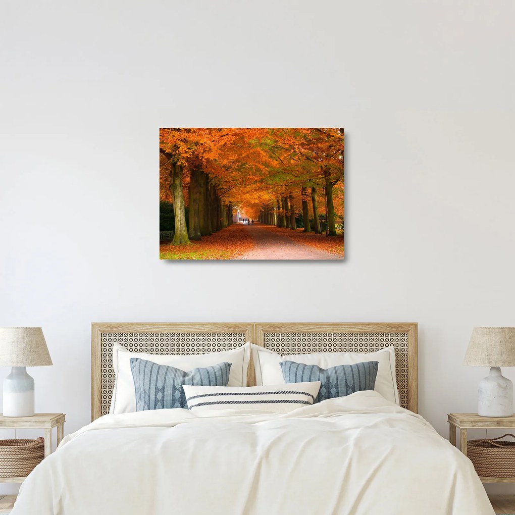 Sklenený obraz - Jeseň Alej stromov (70x50 cm)