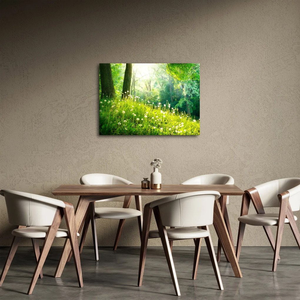 Obraz - Magická lúka plná púpav (70x50 cm)