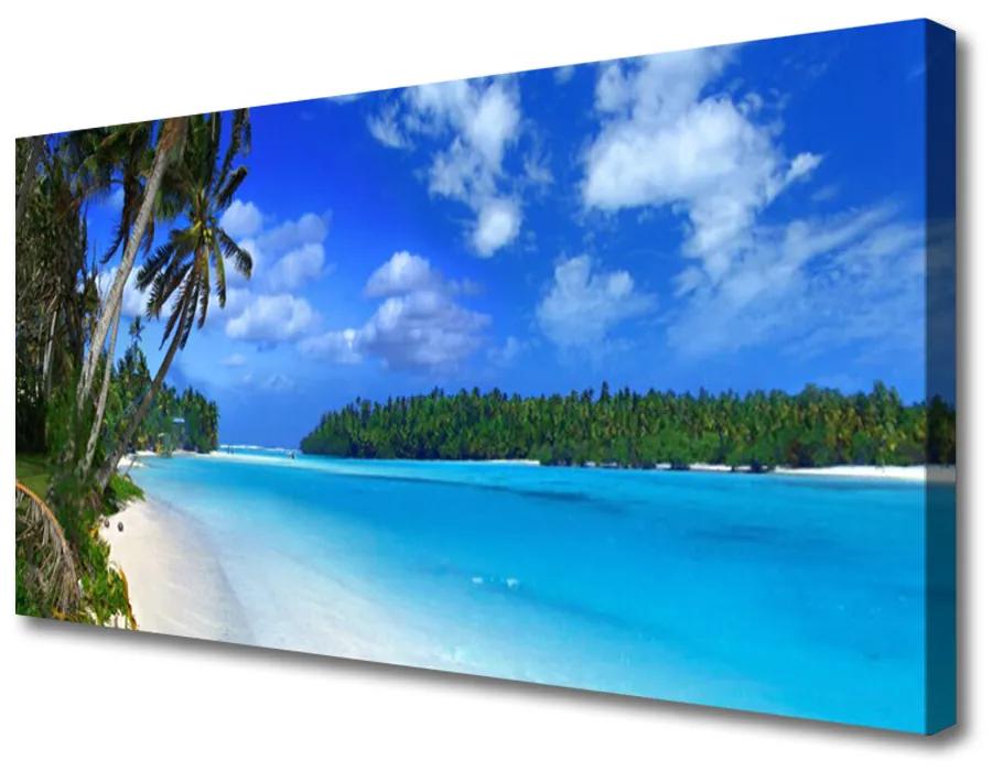 Obraz na plátne Pláž palmy more krajina 120x60 cm