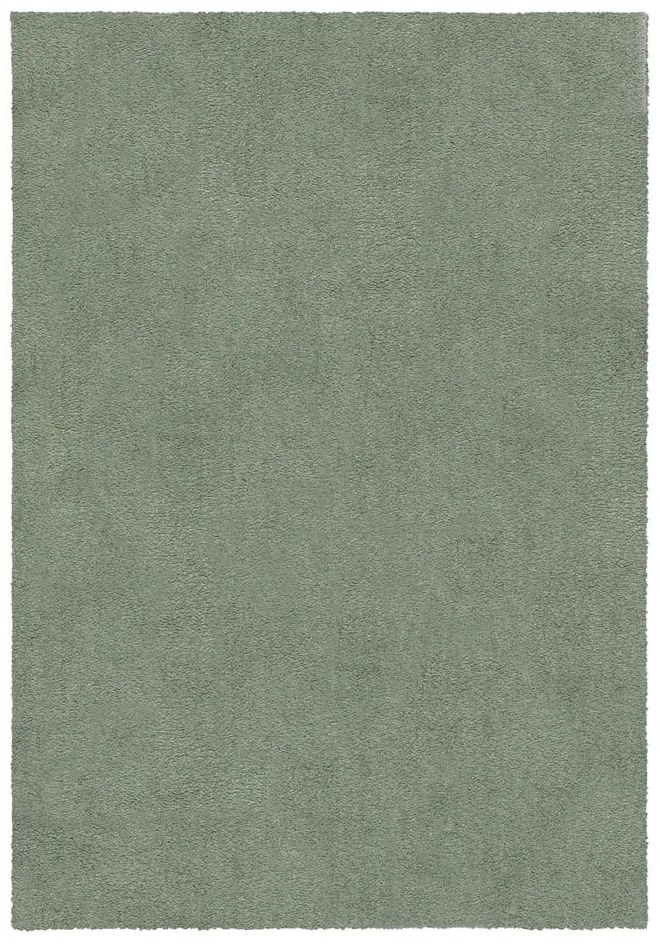 Zelený umývateľný koberec z recyklovaných vlákien 160x230 cm Fluffy – Flair Rugs