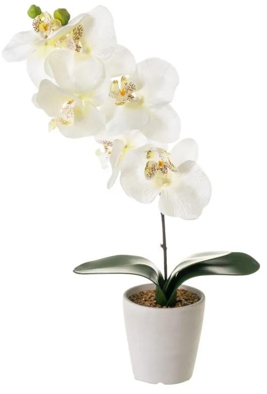 Umelá rastlina (výška 45 cm) Orchid – Casa Selección
