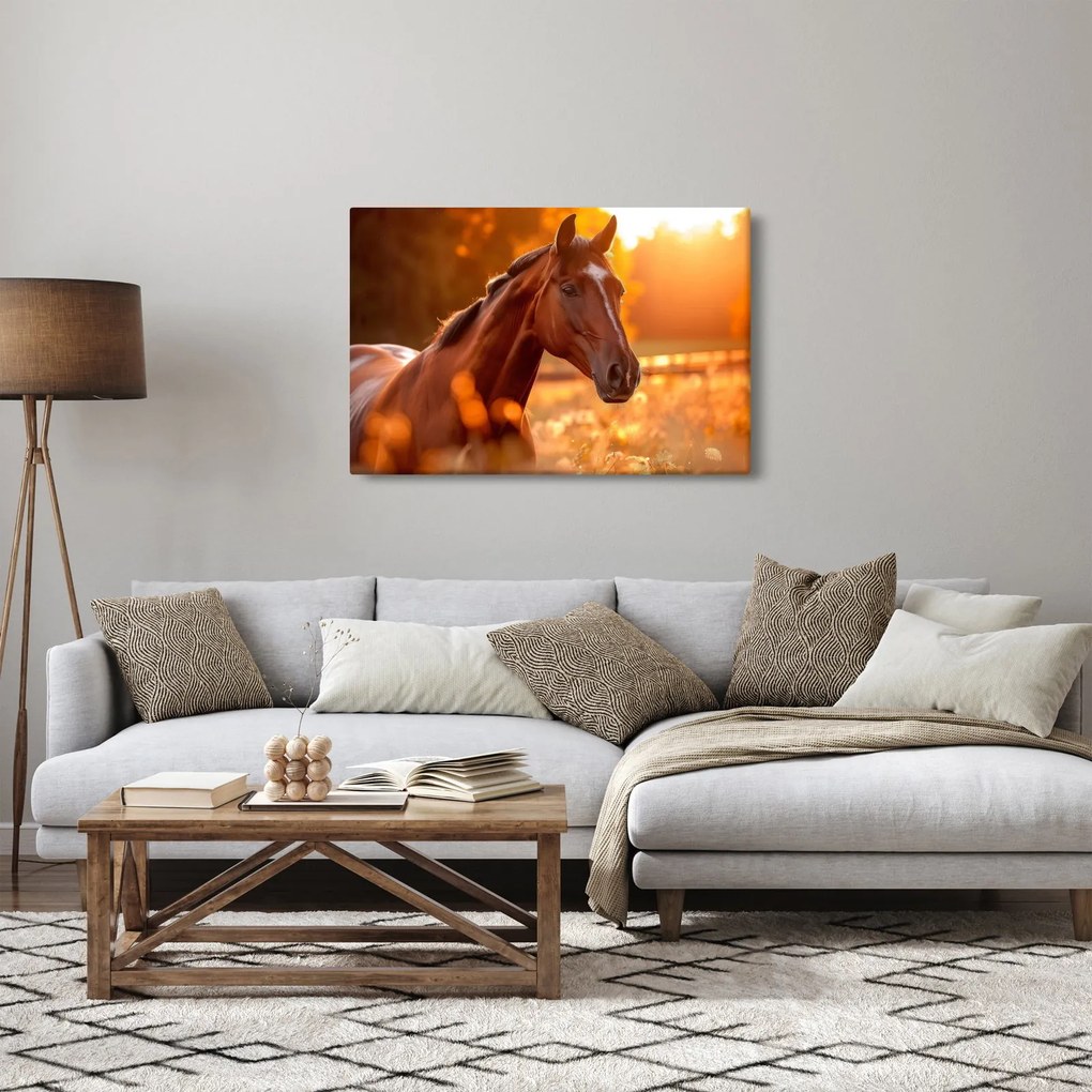 Obraz - Kôň v západe slnka (90x60 cm)