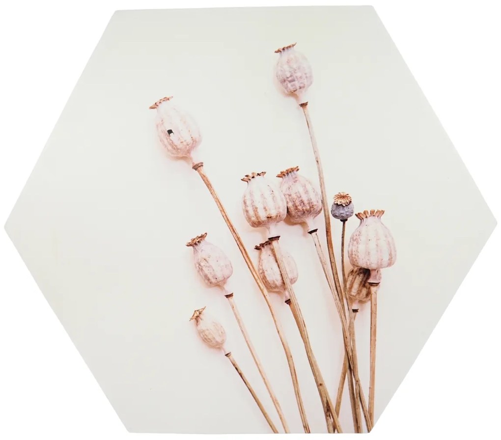 Nástenná dekorácia POPPY WOOD Ø 58 cm