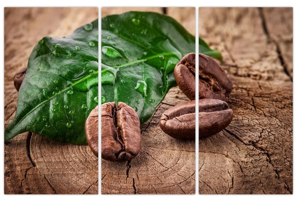 Kávové zrná - obraz na stenu