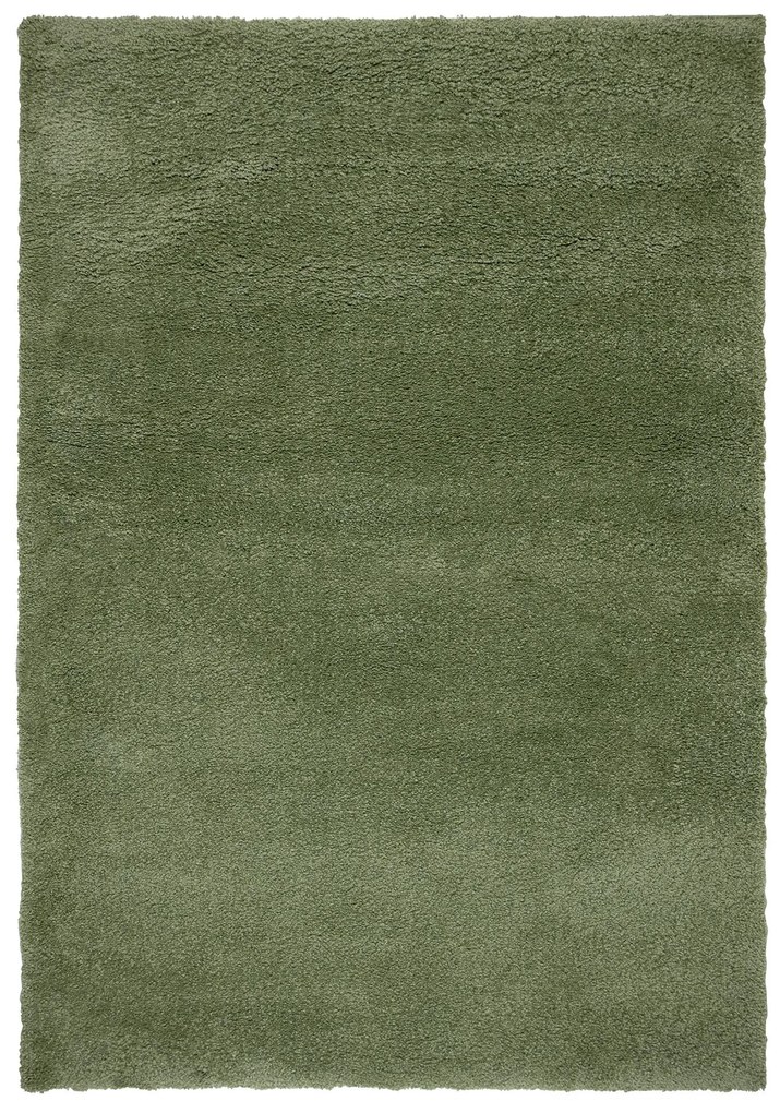 Flair Rugs, Kusový koberec Shaggy Teddy Olive, 200x290, zelená, obývacia izba