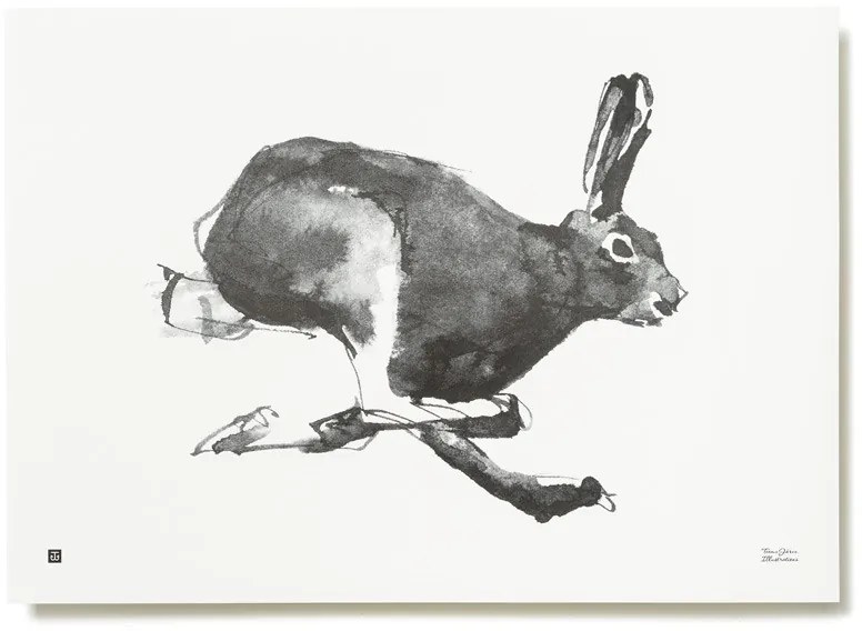 Plagát Mountain Hare 70x50