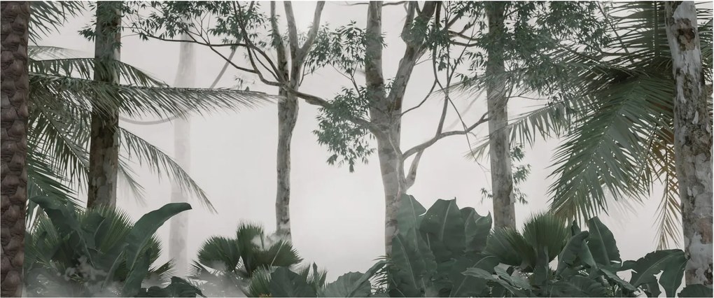 Obraz - Jungle v rannej hmle (120x50 cm)