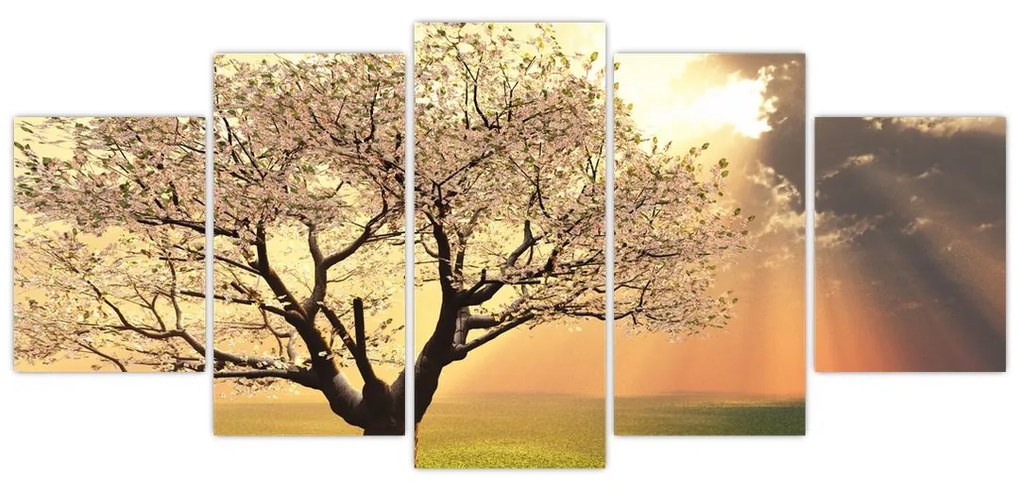 Obraz prírody - strom