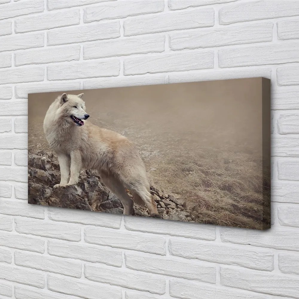 Obraz na plátne vlk hory 120x60 cm