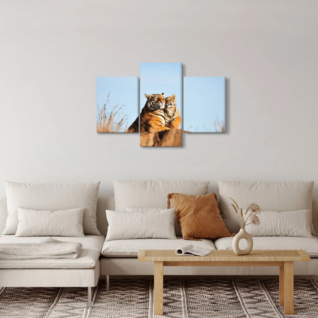 Obraz - Tigrice a jej mláďa (90x60 cm)