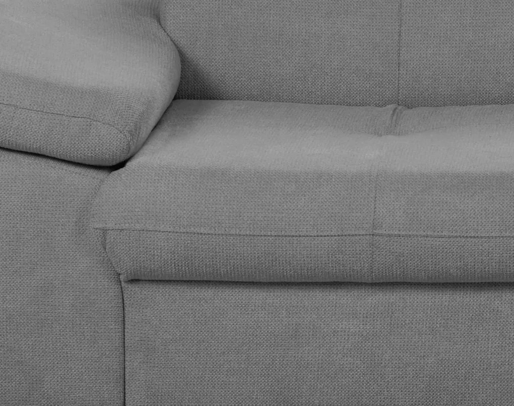 Dvojsedák Gisele, stredne šedá