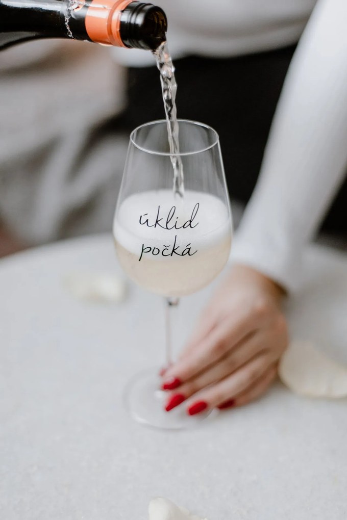 Bella Rose Pohár na víno Úklid počká – CZ