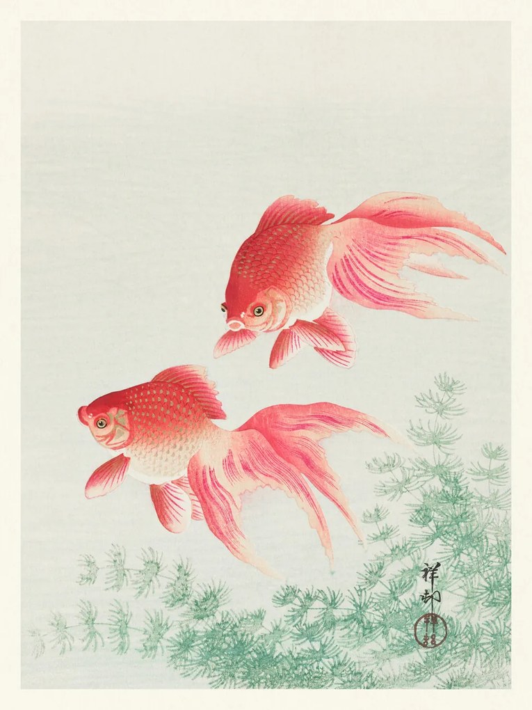 Umelecká tlač Two Veil Goldfish (Japandi Vintage) - Ohara Koson, (30 x 40 cm)